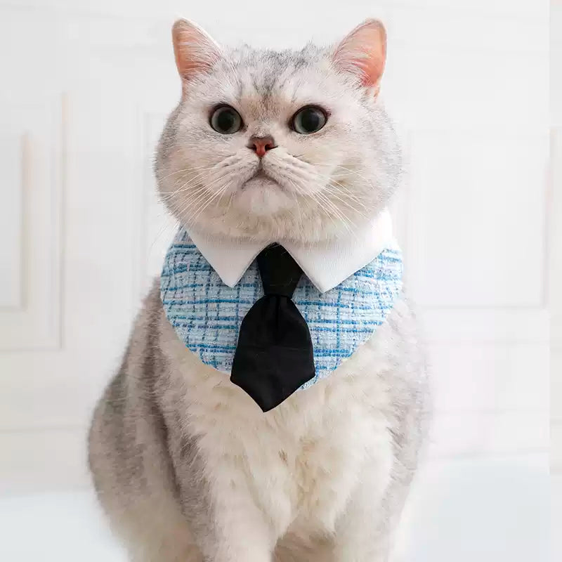 Gentleman Cat Plaid Bowtie