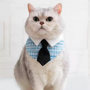 Gentleman Cat Plaid Fliege