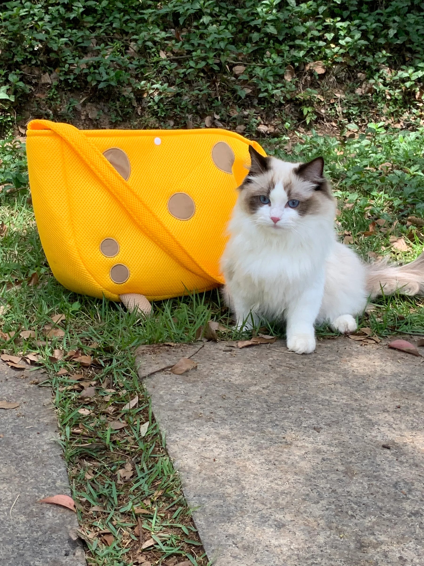 Bolso bandolera para mascotas con forma de jirafa