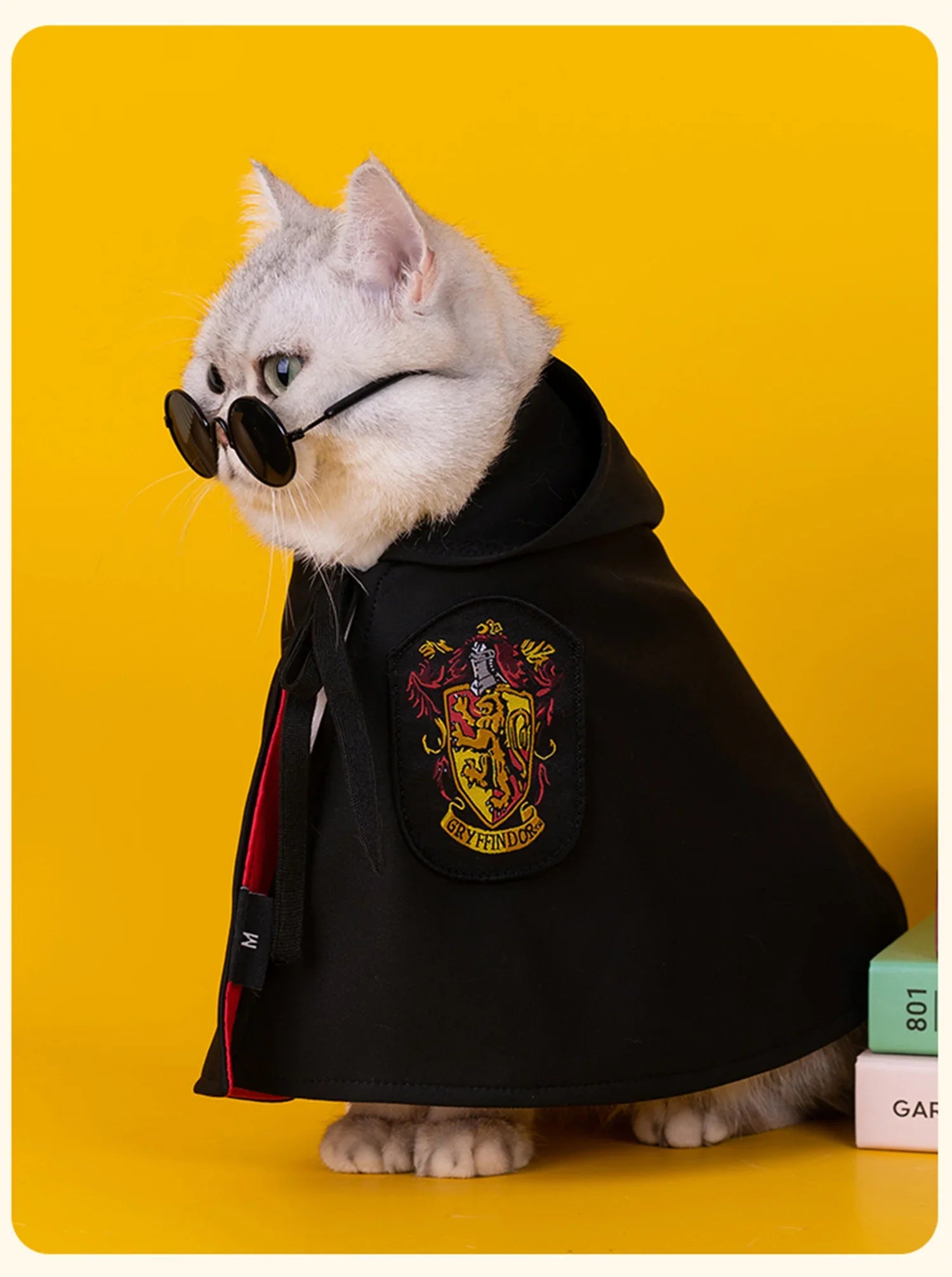 Conjunto de capa de gato de Harry Potter