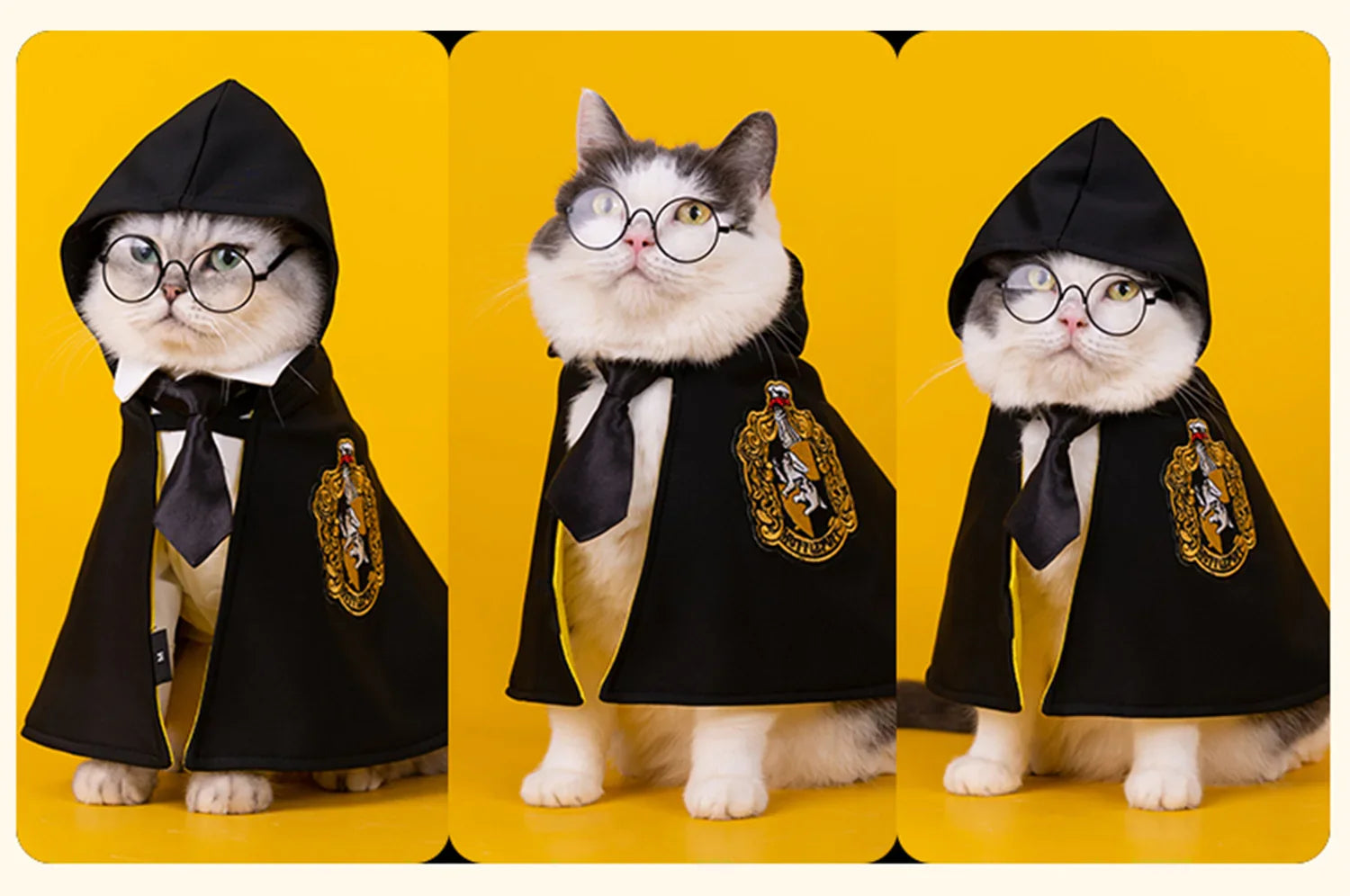 Conjunto de capa de gato de Harry Potter