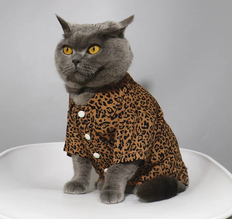 Camisa de leopardo con gato de moda