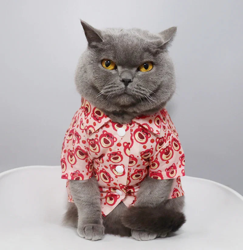 Lotso huggin bear Cat Shirt