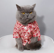 Lotso huggin bear Cat Shirt