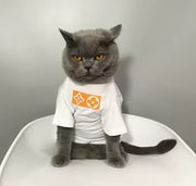 Luxus-Katzen-T-Shirt