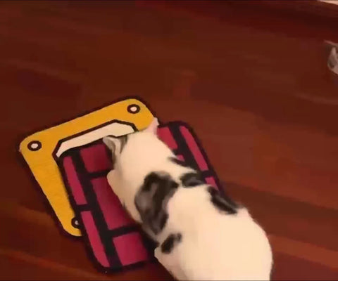 Katzenkratzmatte aus Sisal mit Mario-Motiv 