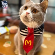 Set de gatos con temática de comida rápida