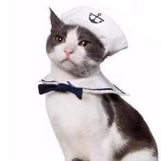 Marine-Nautik-Katzen-Matrosen-Outfit