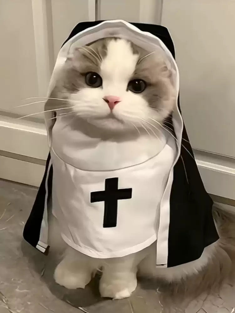 Nun-style cat transformation costume