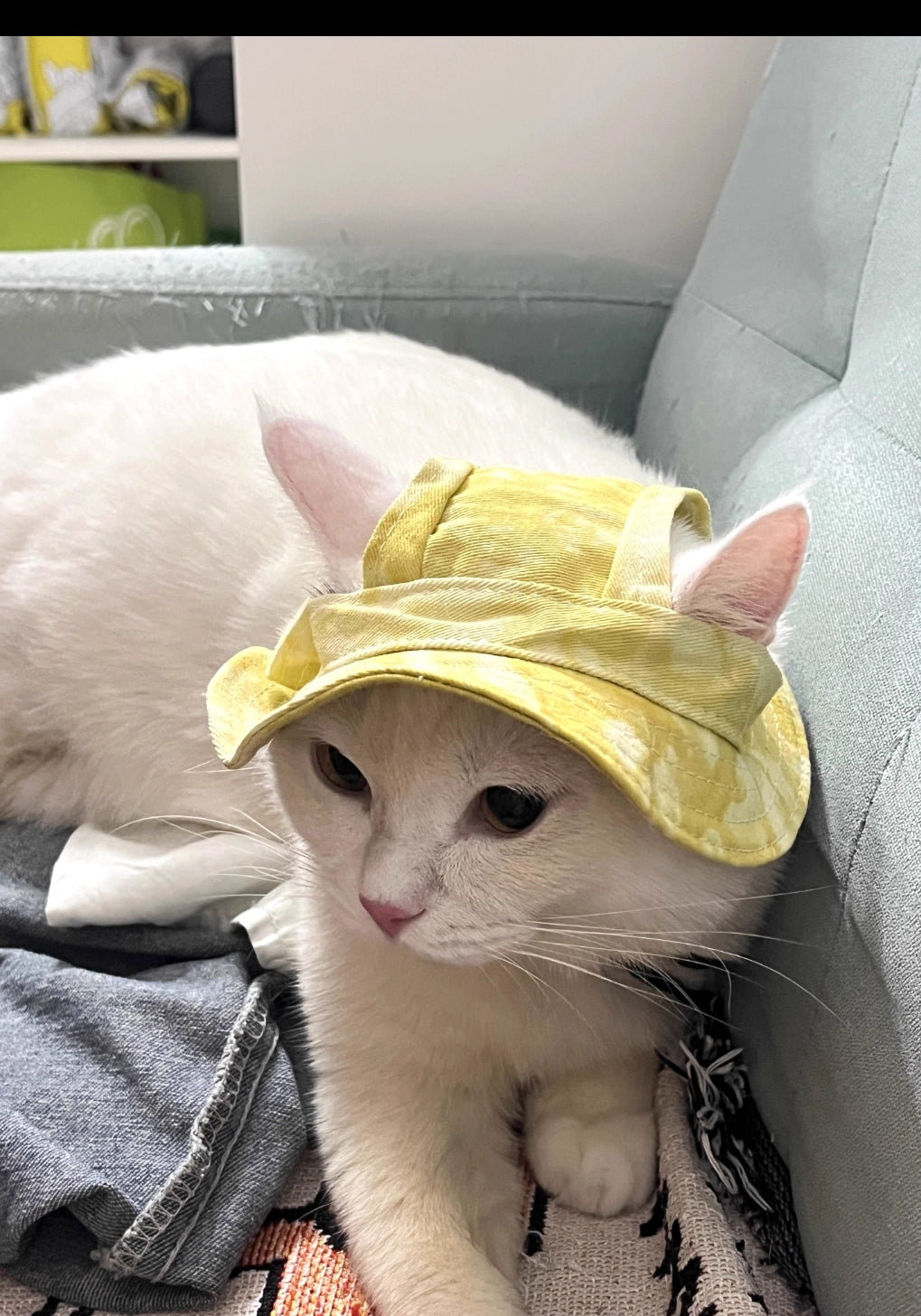 Summer Sun Hat