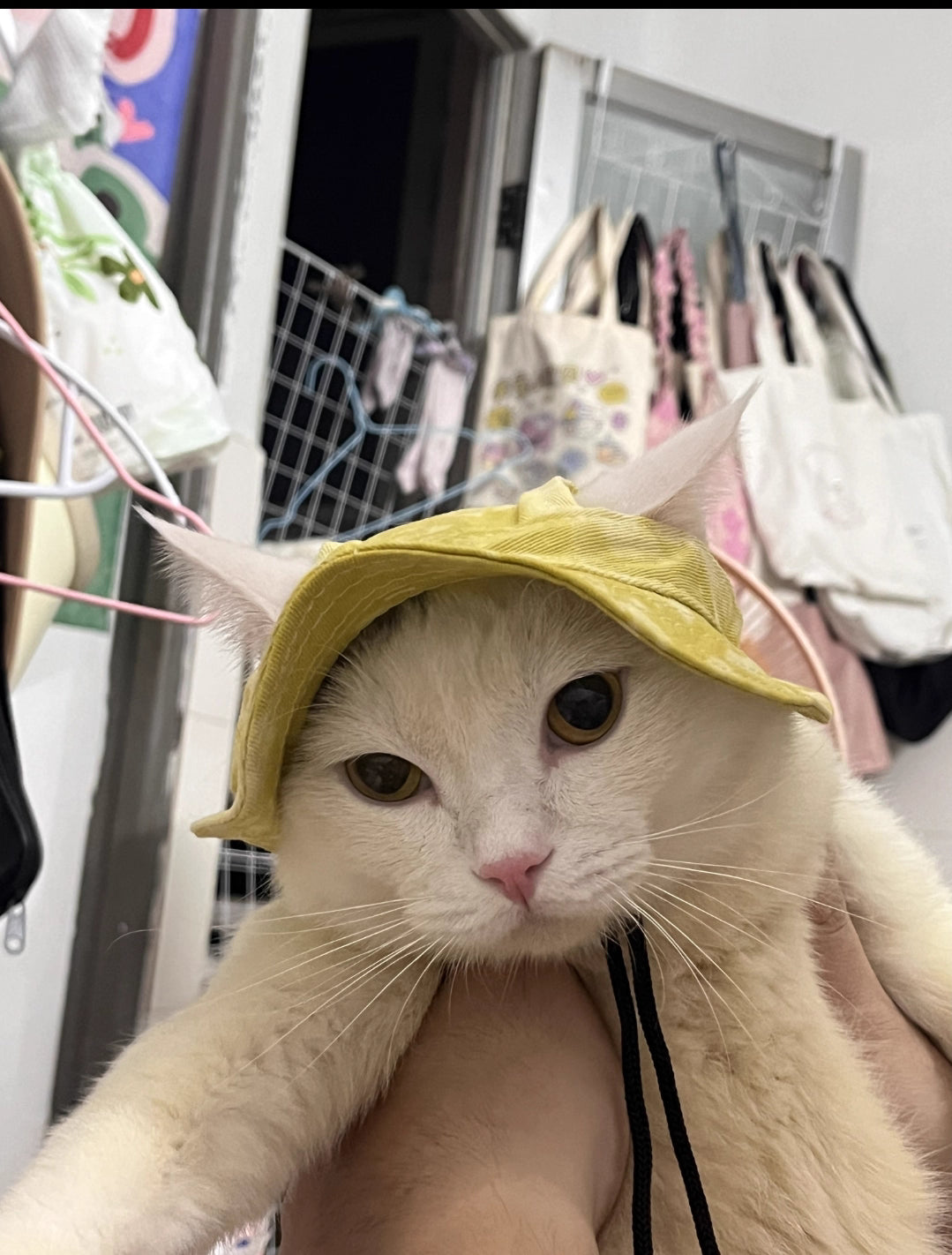 Summer Sun Hat