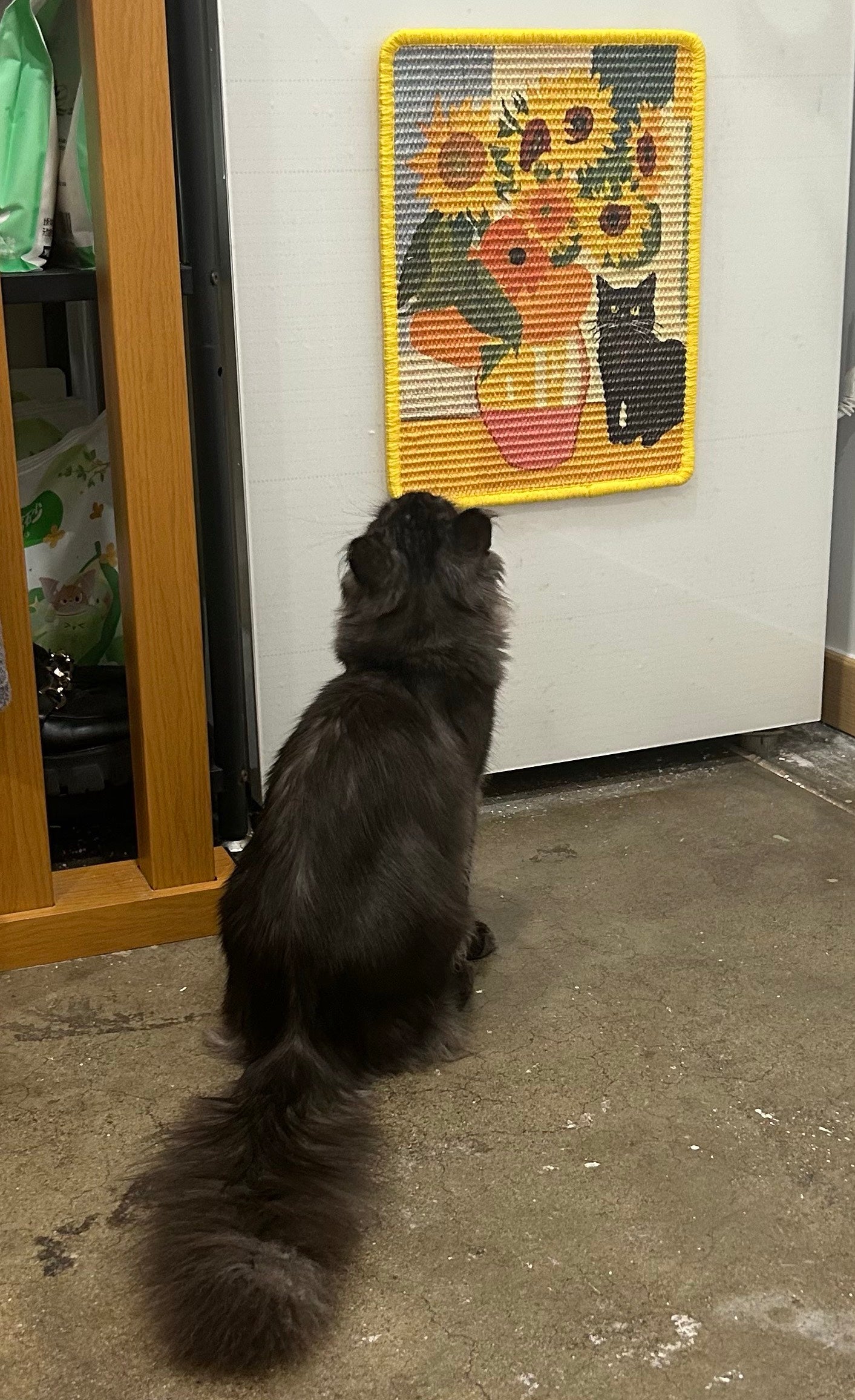 Oil Painting - Style Cat Scratcher