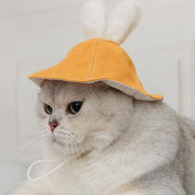Lindo sombrero de conejo y gato