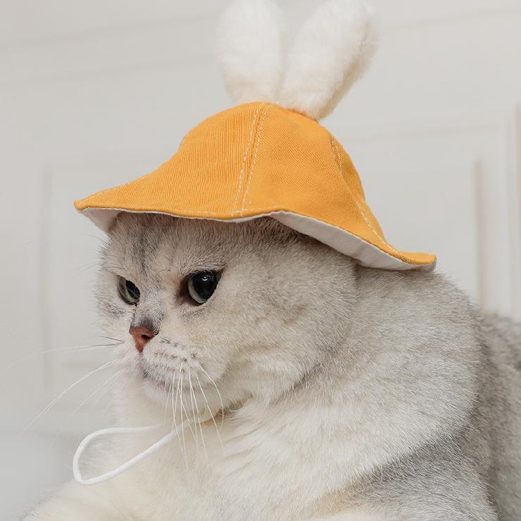 Lindo sombrero de conejo y gato