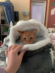 Rabbit Ear Shaped Cat Outdoor Backpack