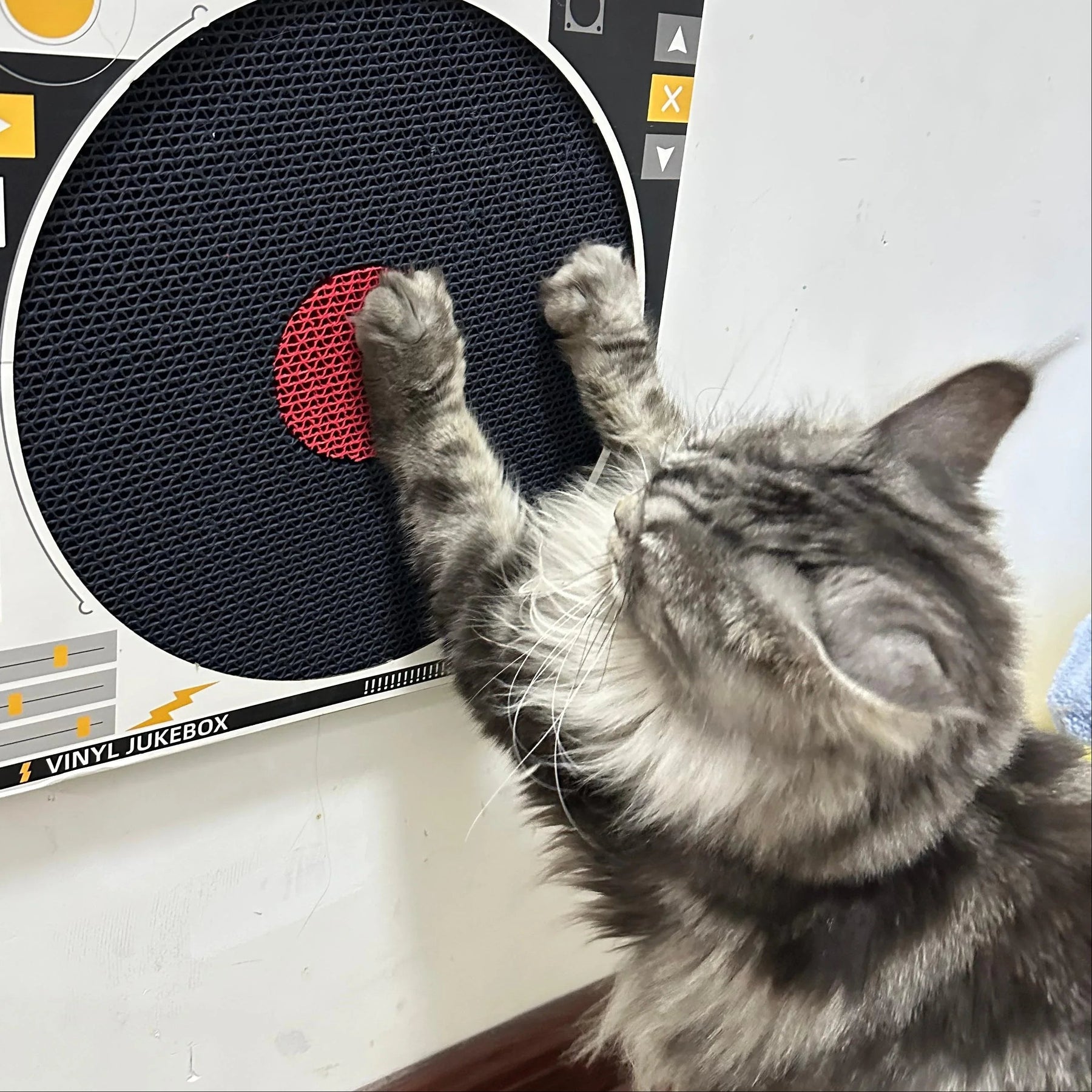 Record Player Cat Scratcher