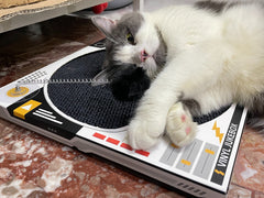 Record Player Cat Scratcher