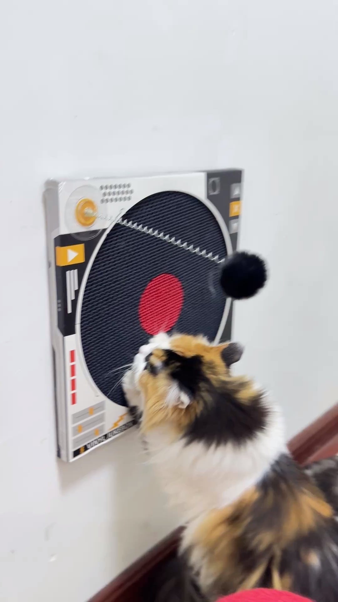 Record Player Cat Scratcher