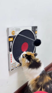 Record Player Cat Scratcher