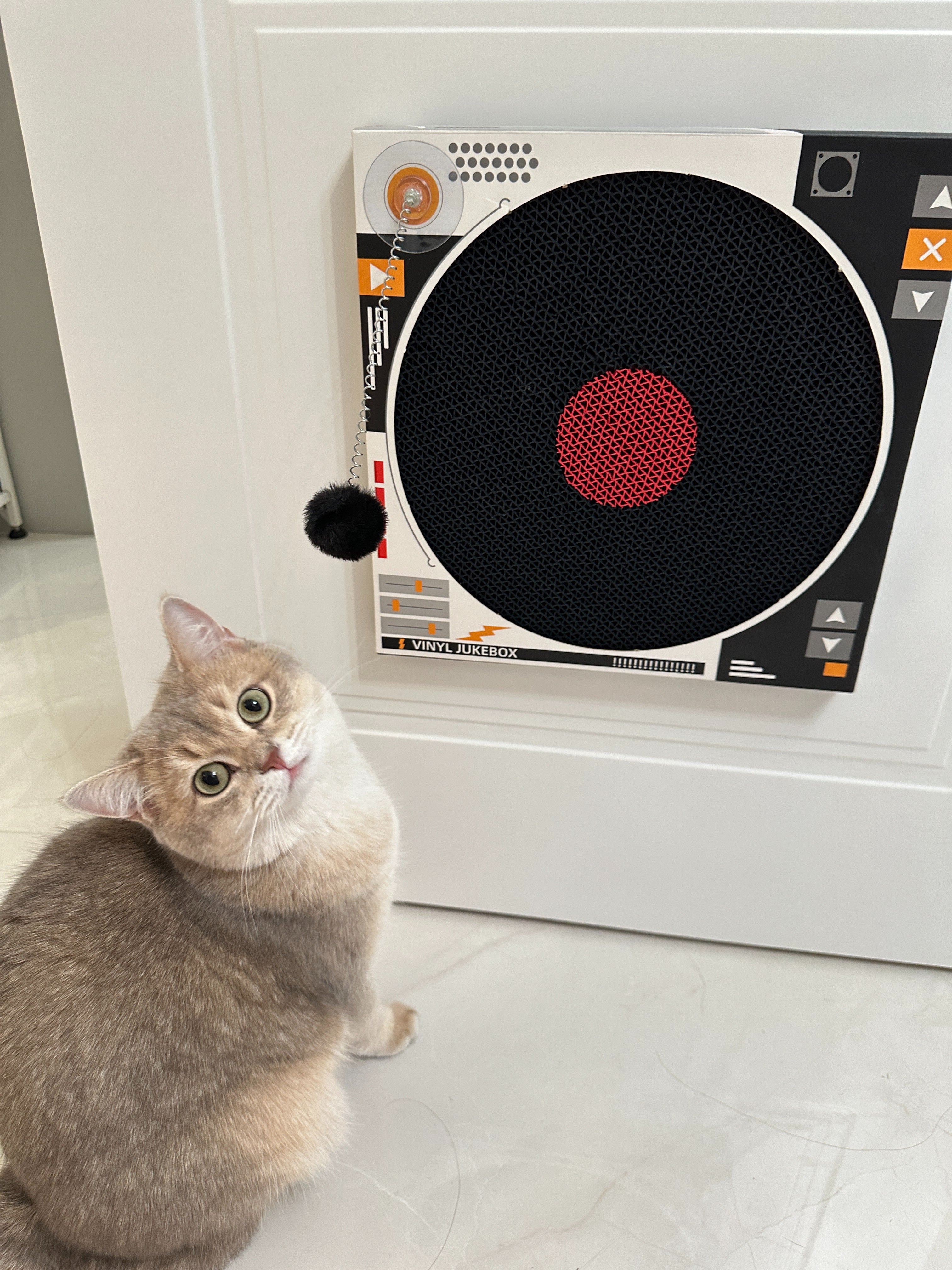 Record Player Cat Scratcher