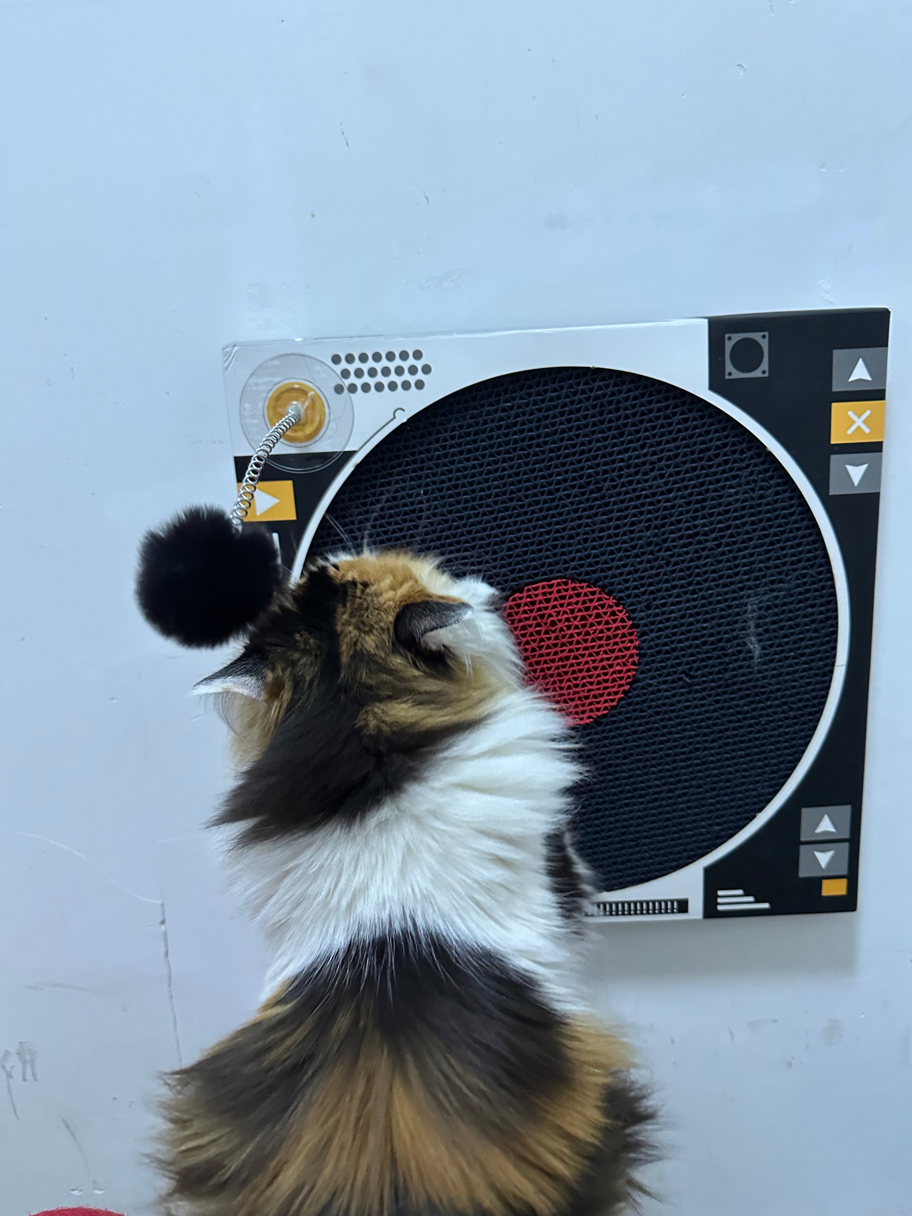 Record Player Cat Scratcher
