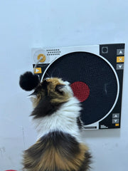 Record Player Cat Scratcher