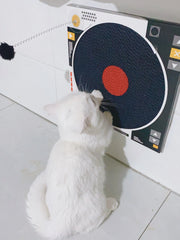 Record Player Cat Scratcher