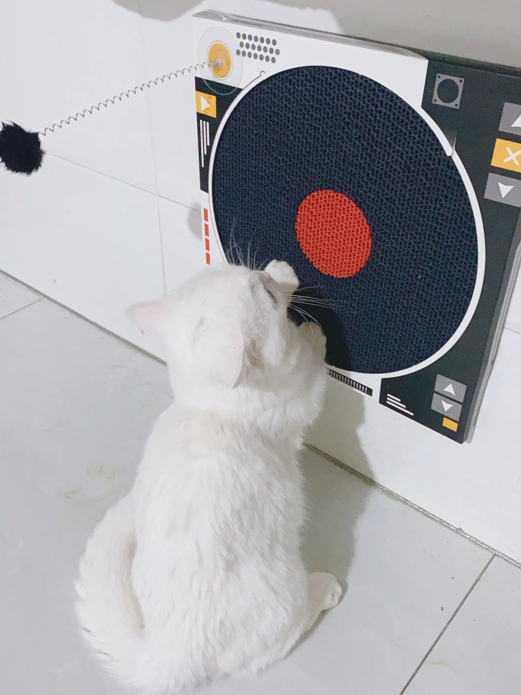 Record Player Cat Scratcher