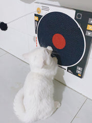Record Player Cat Scratcher