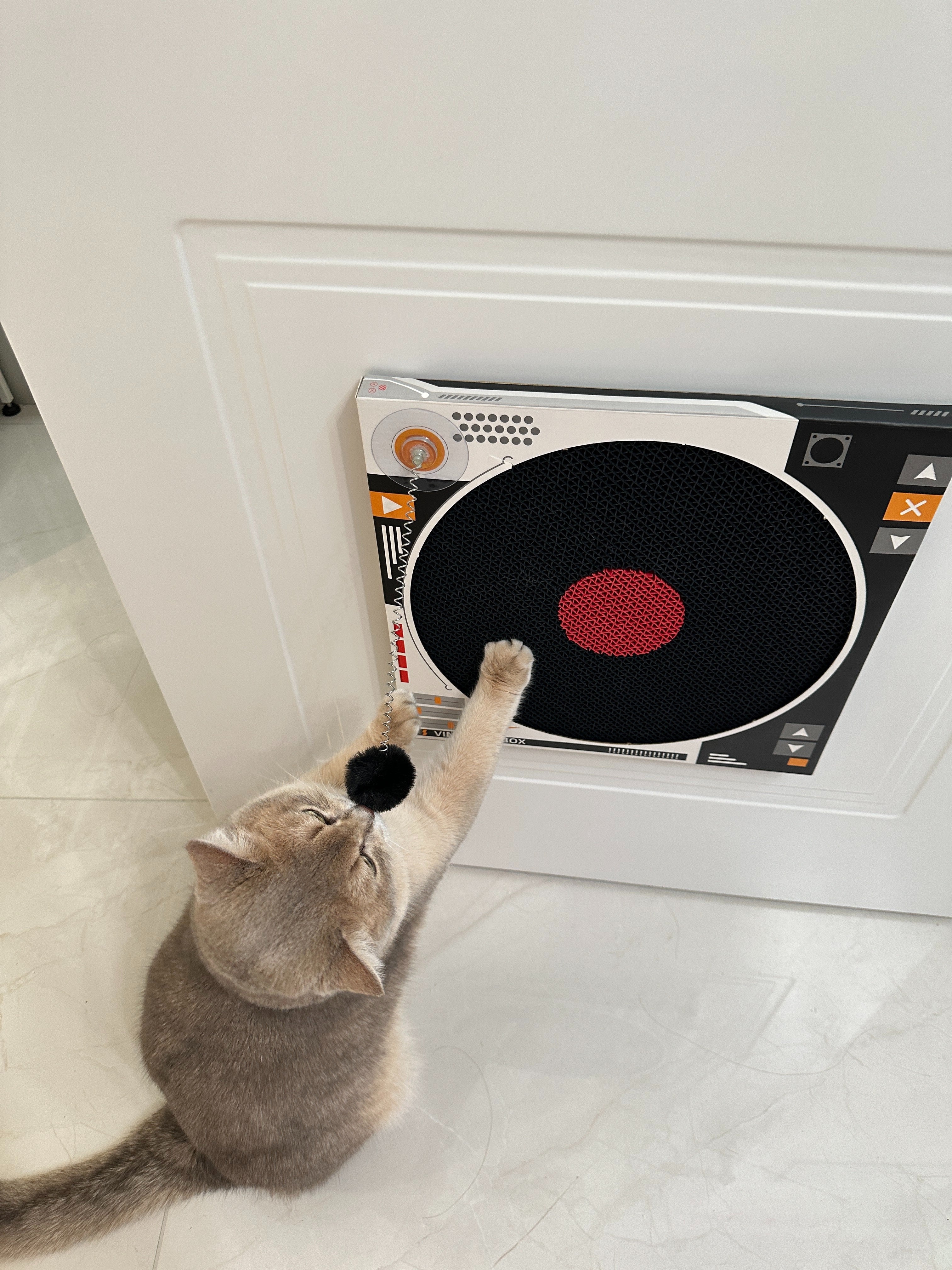 Record Player Cat Scratcher