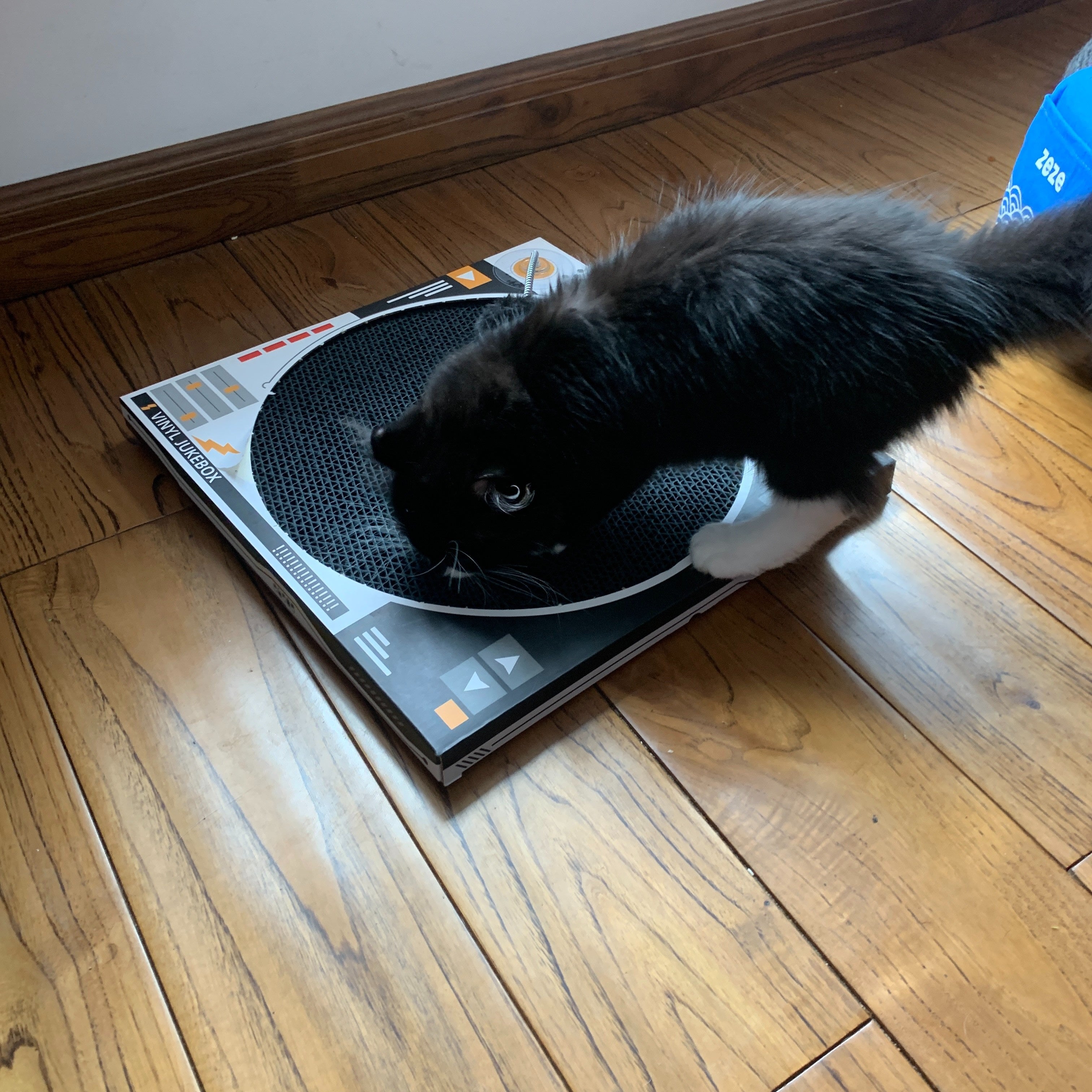 Record Player Cat Scratcher