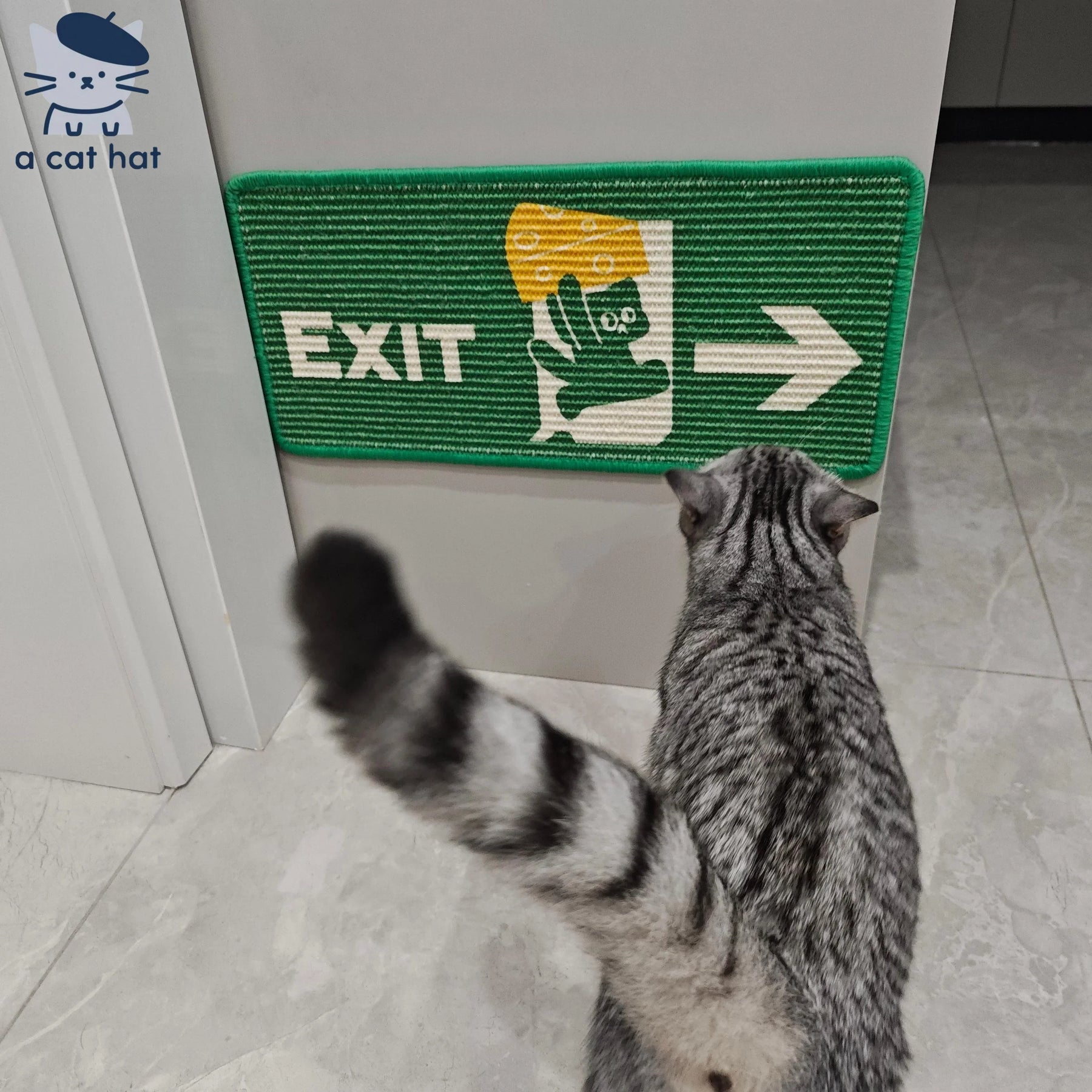 Safety Exit Series Cat Scratching Board