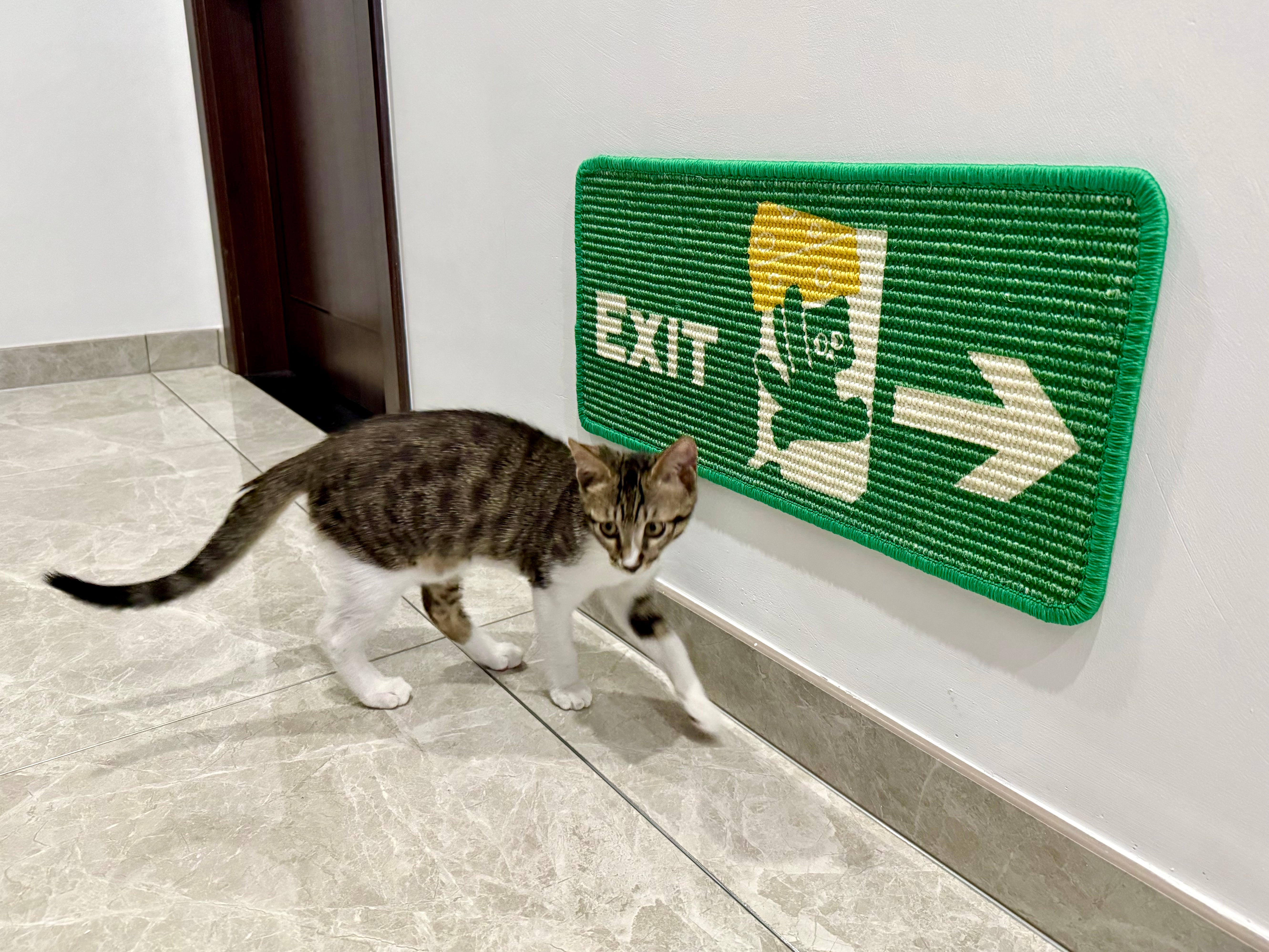Safety Exit Series Cat Scratching Board