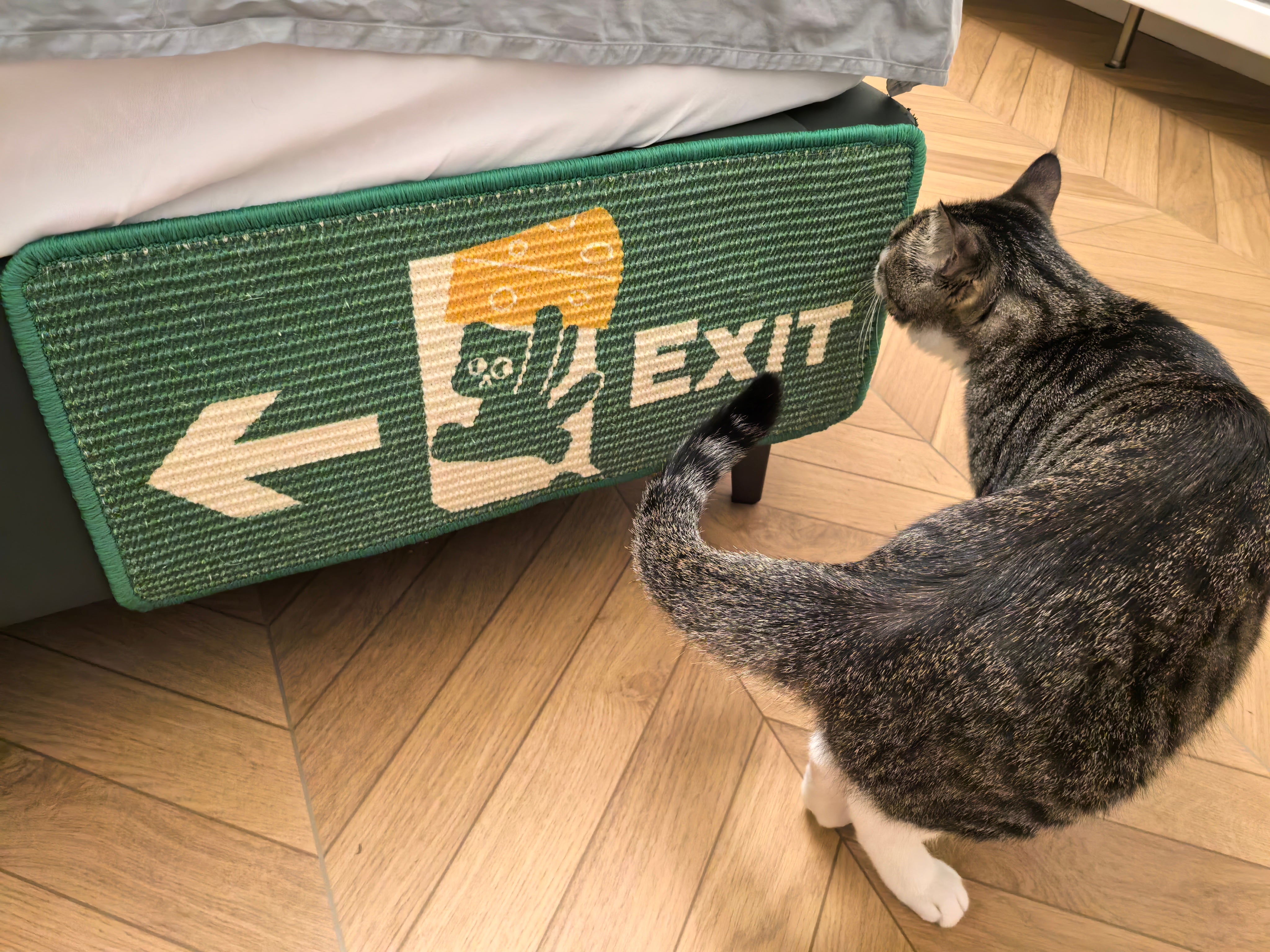 Safety Exit Series Cat Scratching Board