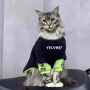 Sudadera Urban Cat