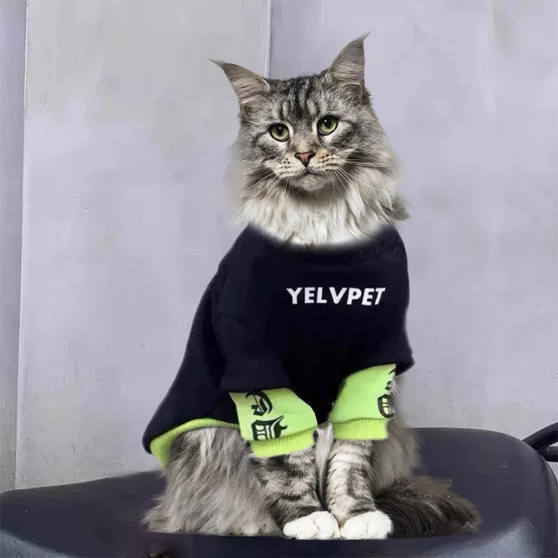 Sweat-shirt Chat Urbain
