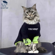 Sudadera Urban Cat