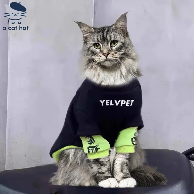 Sweat-shirt Chat Urbain