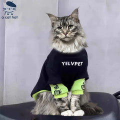Sweat-shirt Chat Urbain