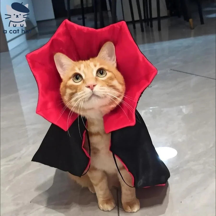 Vampirkatzen-Umhang