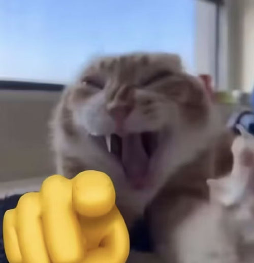 Acathat cat or product image