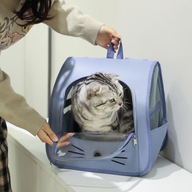 Cat Travel Backpack