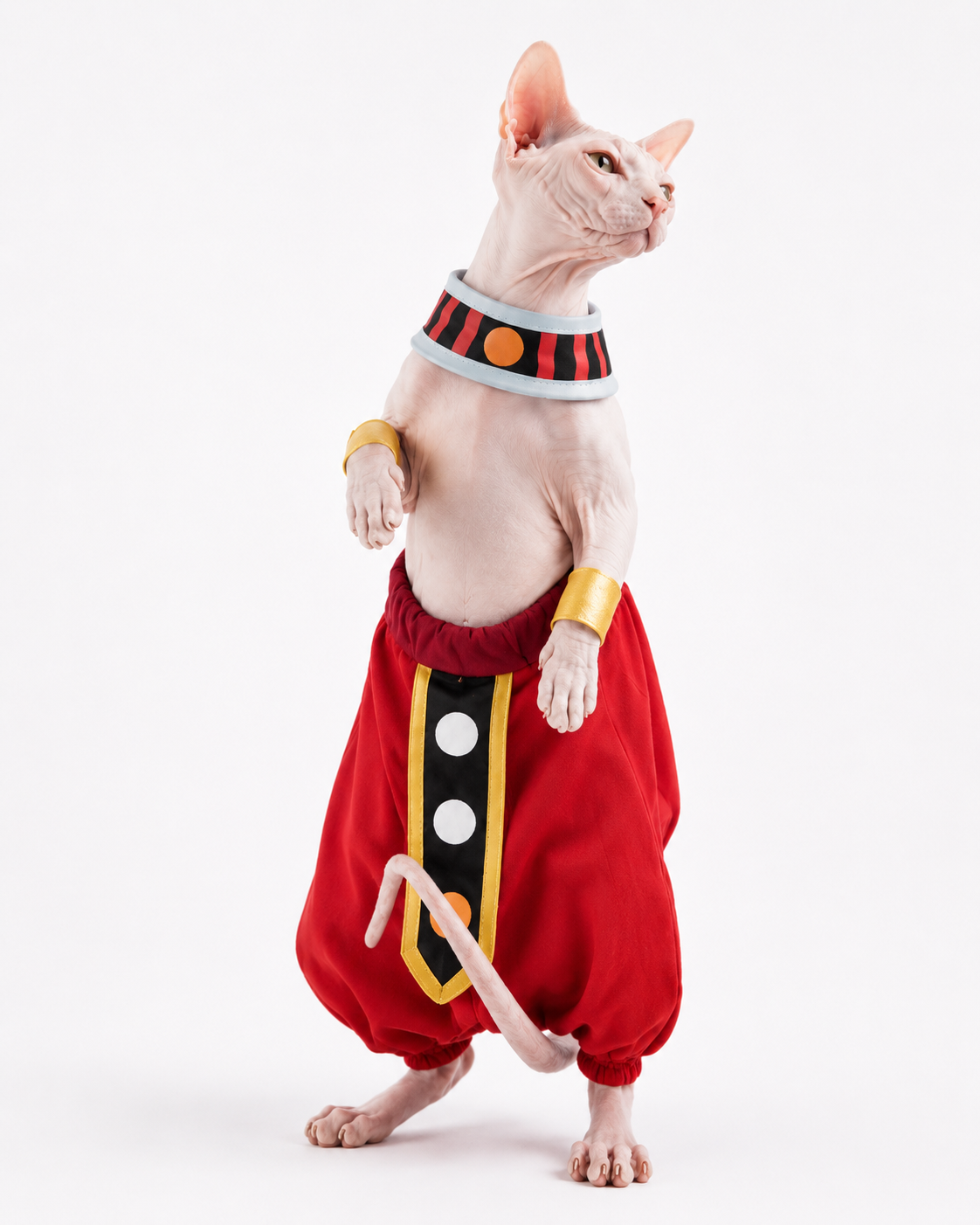 Dragon Ball Beerus der Zerstörer Kostüm