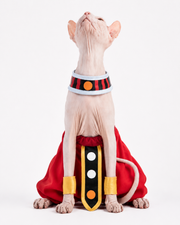 Dragon Ball Beerus der Zerstörer Kostüm