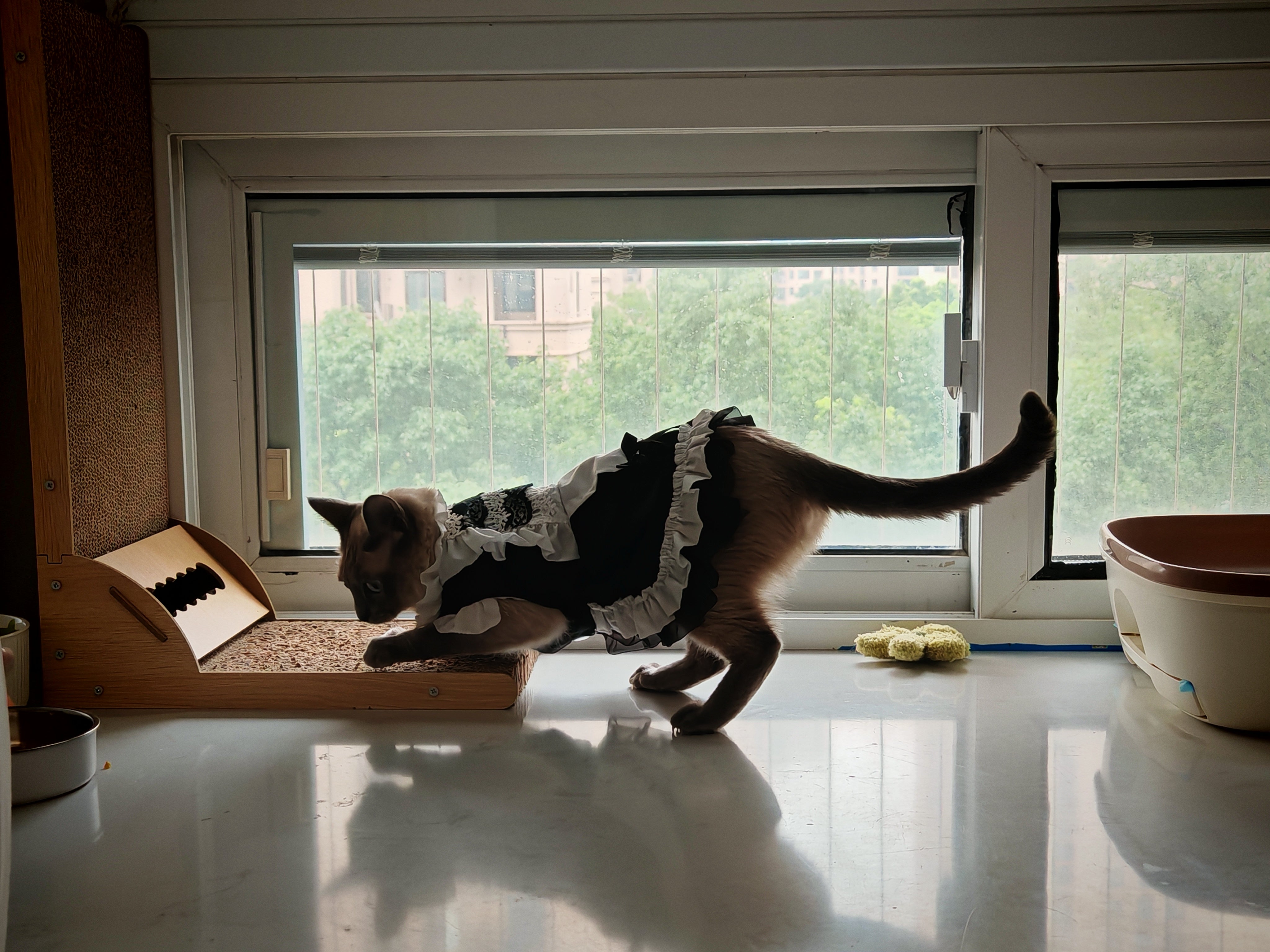 Feline Maid Costume