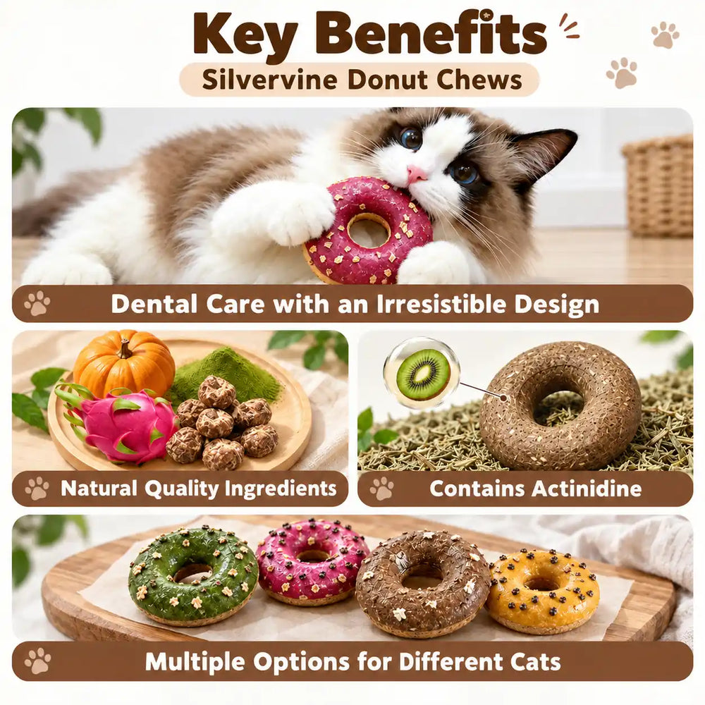 Silvervine Donut Cat Toy – Natural Chew Toy for Cats & Kittens