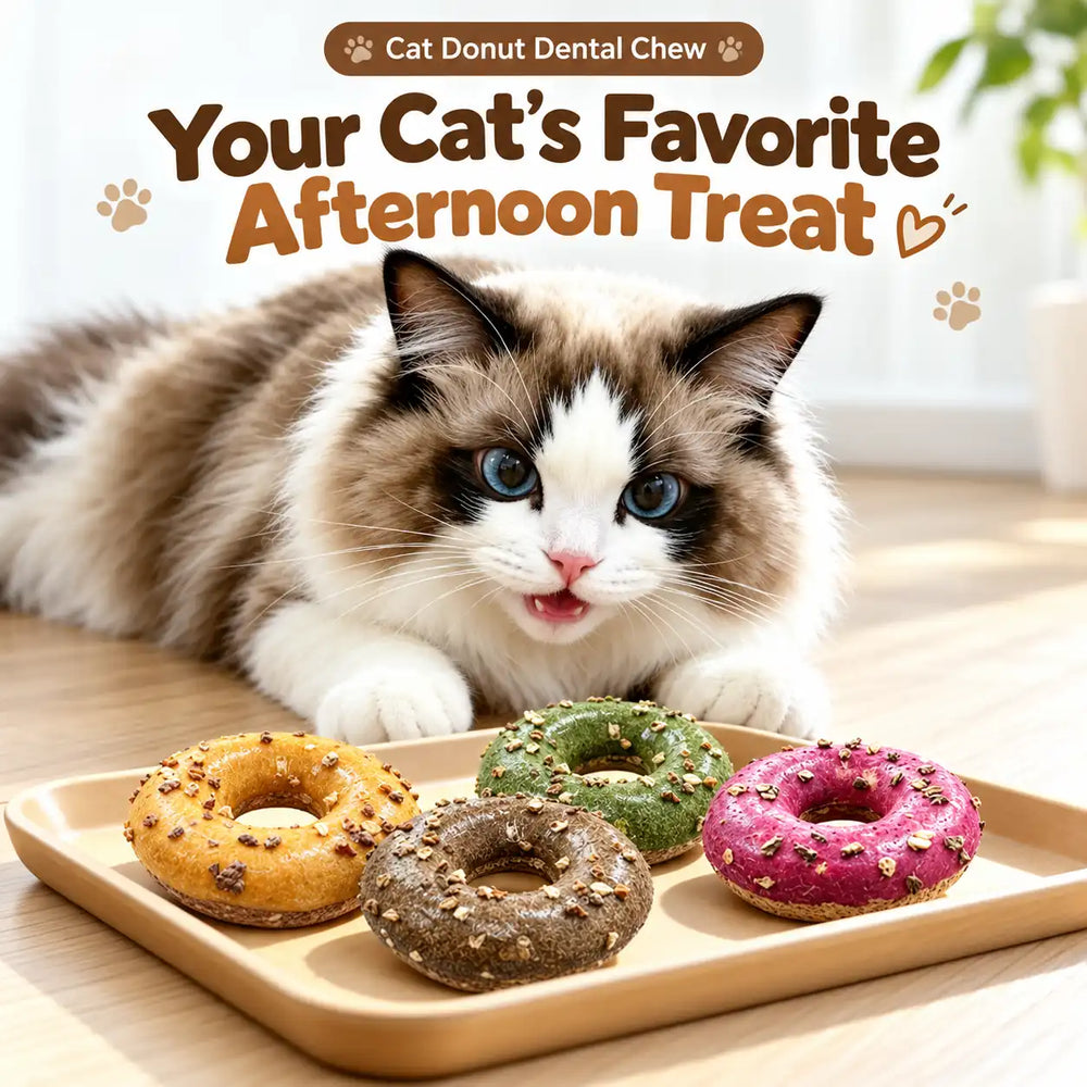 Silvervine Donut Cat Toy – Natural Chew Toy for Cats & Kittens