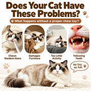 Silvervine Donut Cat Toy – Natural Chew Toy for Cats & Kittens