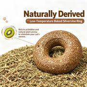 Silvervine Donut Cat Toy – Natural Chew Toy for Cats & Kittens