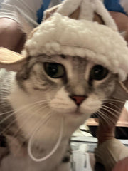 Sombrero de aviador peludo con forma de gato